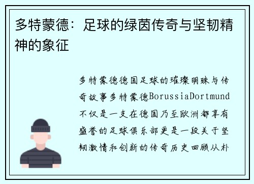 多特蒙德：足球的绿茵传奇与坚韧精神的象征